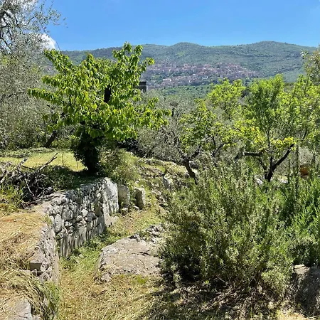 Casa Gialla Villa